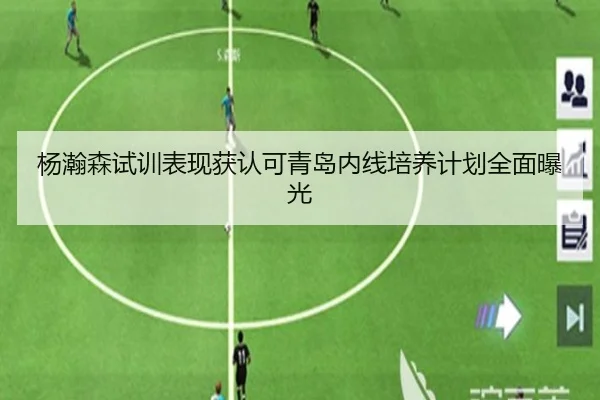 杨瀚森试训表现获认可青岛内线培养计划全面曝光